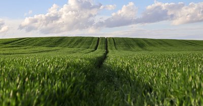 ARiMR terminy składania wniosków 2026 - kalendarz rolnika