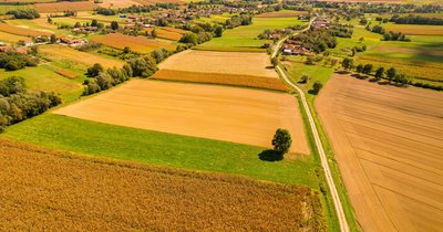 Dzierżawa gruntów rolnych: Aktualne przepisy i zmiany prawne