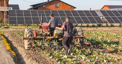 Ekoschematy dla gospodarstw ekologicznych - wsparcie