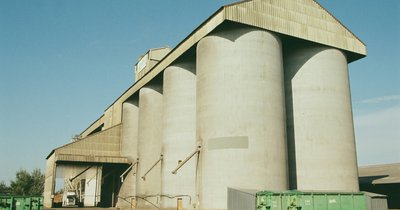 Sezonowe fluktuacje cen skupu pszenicy - jak wykorzystać najlepsze momenty