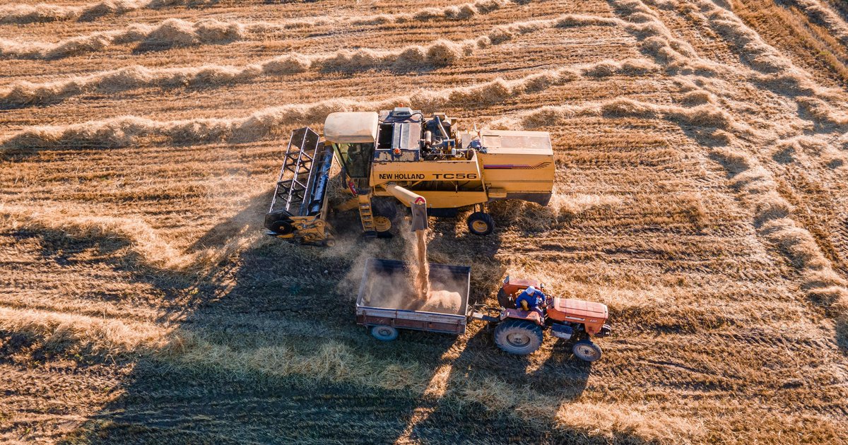 Uprawa pożniwna i przygotowanie pola pod oziminy – przewodnik