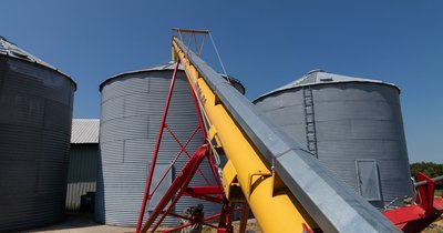 Jak przechować zboże w gospodarstwie i nie stracić na pleśni