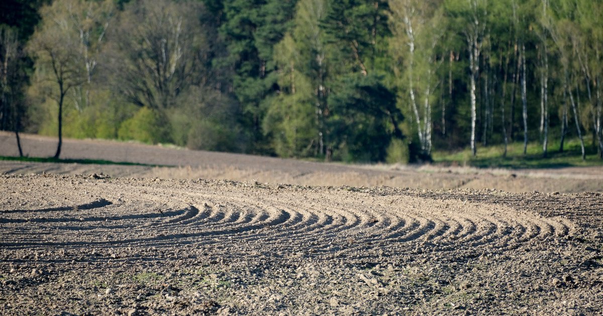 Uprawa pożniwna i przygotowanie pola pod oziminy – wapnowanie